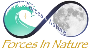 Forces In Nature