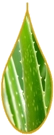 Drop